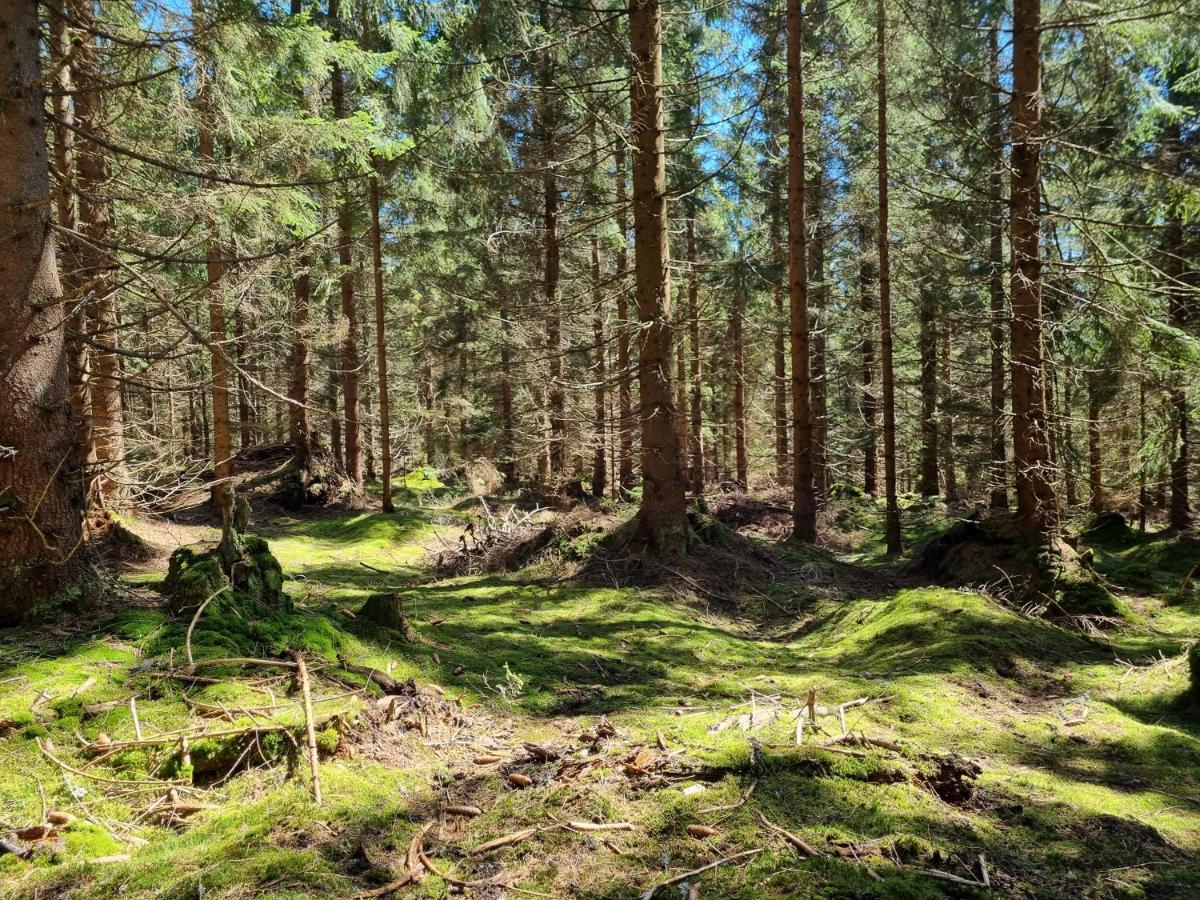 Apartman Felix Vaclavov u Bruntalu Buitenkant foto